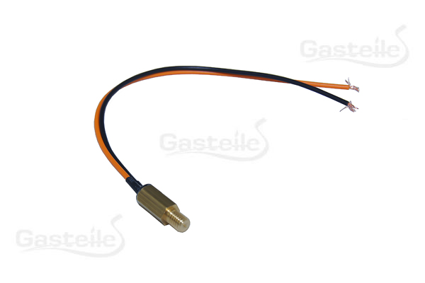 Zavoli Zeta Wassertemperatur-Sensor neu ohne Stecker M6